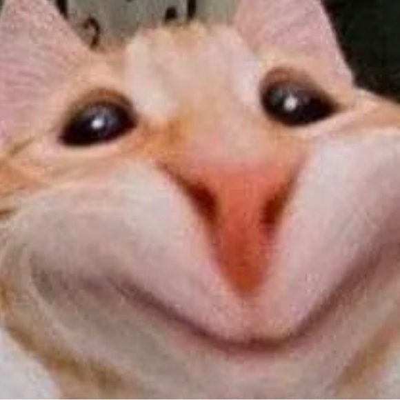 Meet your Posher, Sam - Picture 2 of 2